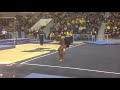 Stacey Ervin Tamayo (Layout Double Arabian)