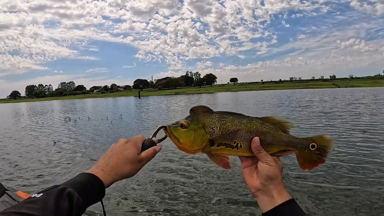 PESCA DE TUCUNARÉ COM CAIAQUE EM CRUZÁLIA-SP 