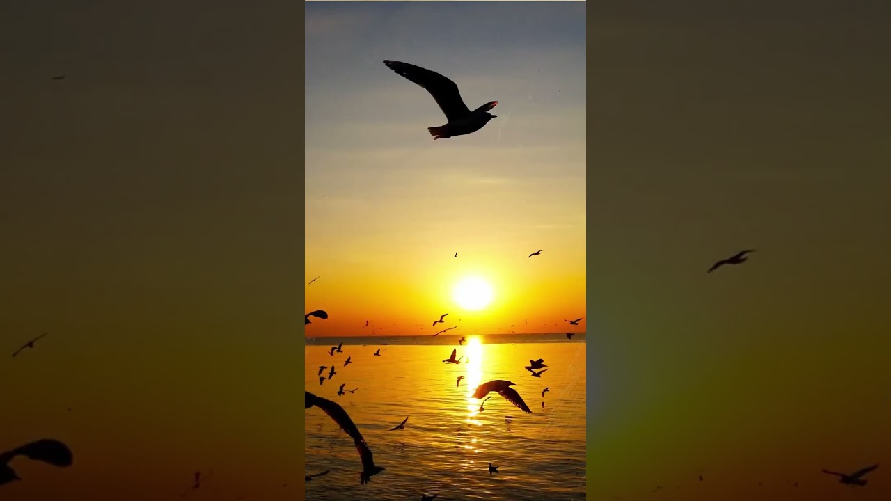 Sunset in the sea