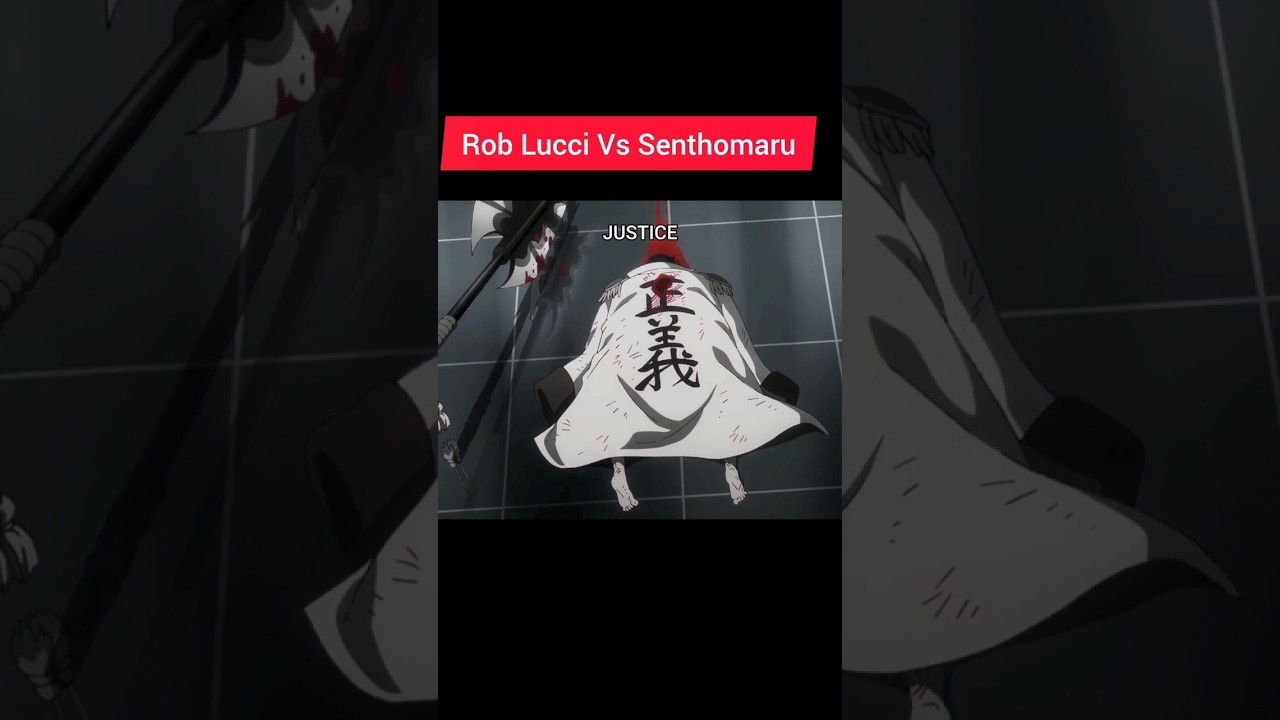 Sentomaru vs Rob Lucci | one piece