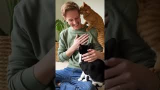 This is what true love looks like! Two cats and their dad