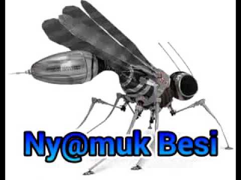 Nyamuk Besi - Selamat Tinggal Cinta - YouTube