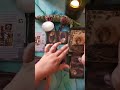 Tirage de Mabon🍄🌾, équinoxe d'automne🍂🍁