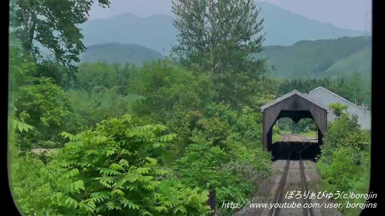 【運休】根室本線101（新得→落合～rear window view）