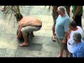 Fotos de Nazario-Gente en una plaza.wmv