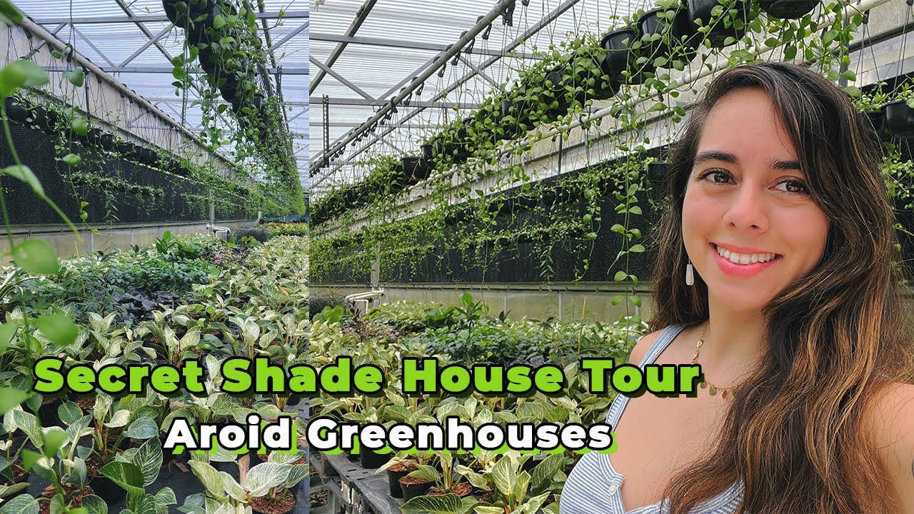 7 Shade Houses inside Aroid Greenhouses Private Farm Exclusive Tour | plant collection sneak peek
