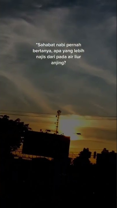 apa yang lebih najis dari air liur anjing?