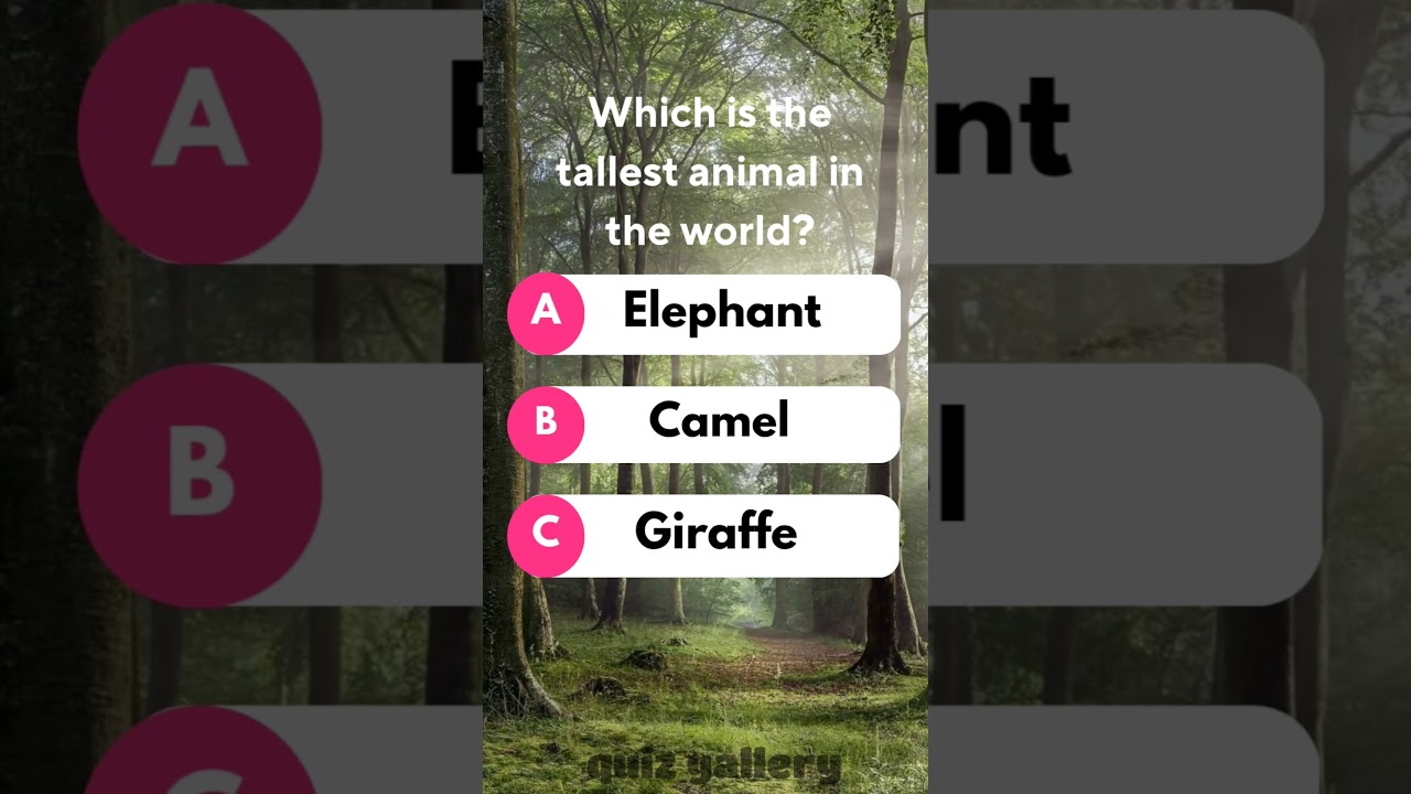Which is the Tallest Animal in the World? | Quiz 