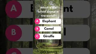 Which is the Tallest Animal in the World? | Quiz #quiz #generalknowledge #shorts