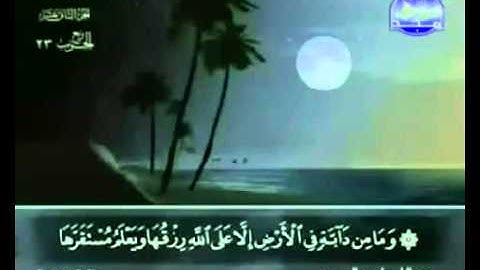 11. سورة هود - عبد الباسط عبد الصمد - تجويد