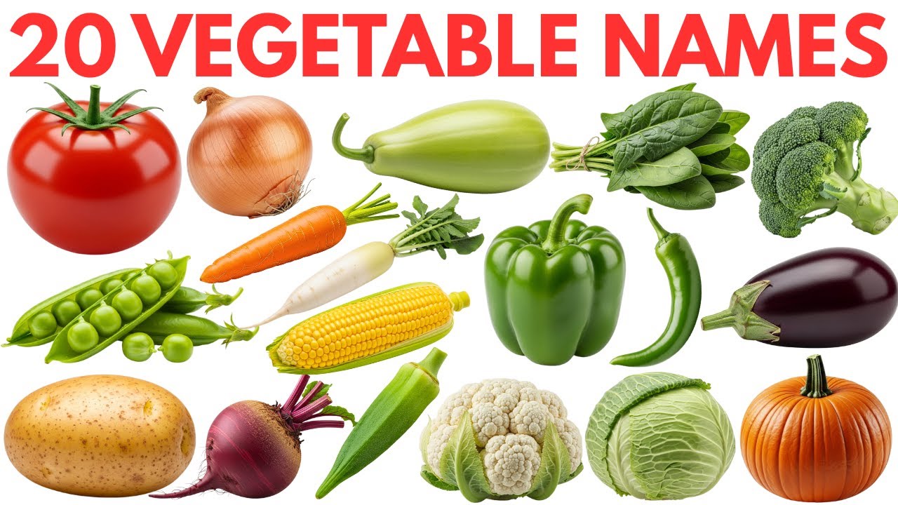 20 Vegetables Name in English | Learn Vegetables for Kids | Kids Learning Video | Fun for Kids