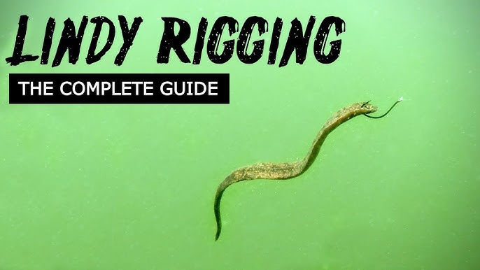 walleye spinner rigs - Hľadať Googlom