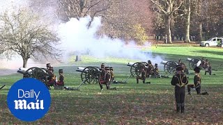 A 41 Gun Salute To Celebrate The Birthday Of Prince Charles