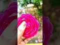 Outside asmr❤❤