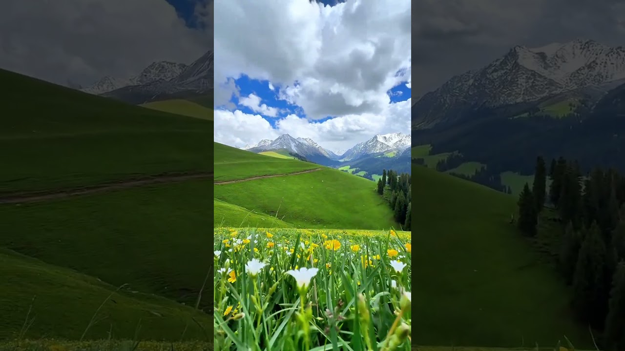 Relaxing Nature Scenery You Need Today