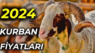 GÜNCEL KURBANLIK KOÇ FİYATLARI | BU PAZARDA KUZU BEDAVA