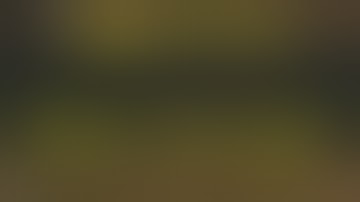 Daggerfall Unity — 214 — Witches Coven Quest — Problems with Vampires