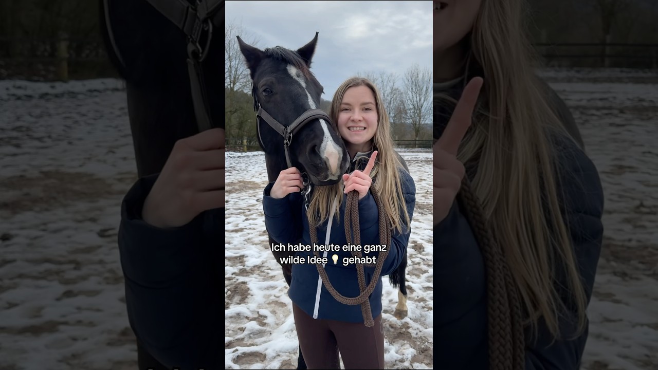 Wer hat auch manchmal wilde Ideen? 💡🐴 Markiert denjenigen 