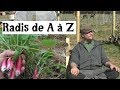 Le radis de a  z presque