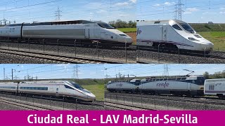 Observación de trenes AVE en Ciudad Real
