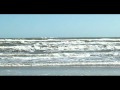 Padre Island... A Great Hideaway! A Great Place to Live!