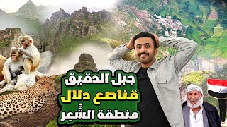 وصلت ثاني أعلى جبل في اليمن 3200 متر | جبل الدقيق ??
