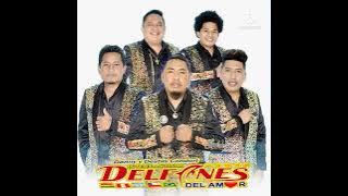 LOS DELFINES DEL AMOR - A CANTAR A BAILAR ( COMPARSA HUAYÑO PRIMICIA 2022 )