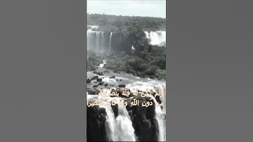 سورة الكهف اية 43 - بصوت جميل -وَلَمْ تَكُن لَّهُ فِئَةٌ يَنصُرُونَهُ