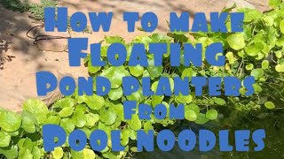 How to make floating pond planters out of pool noodles