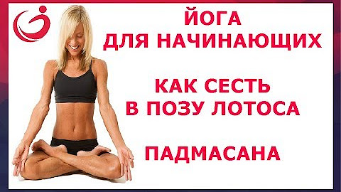 Поза лотоса. Упражнение лотос. Упражнения на растяжку чтобы сесть в позу лотоса. Как сесть в позу лотоса упражнения. Падмасана поза.