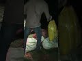 Feeding Fish in Darkness 🌙🐟 | Silent Night Vibes #shorts #vlog