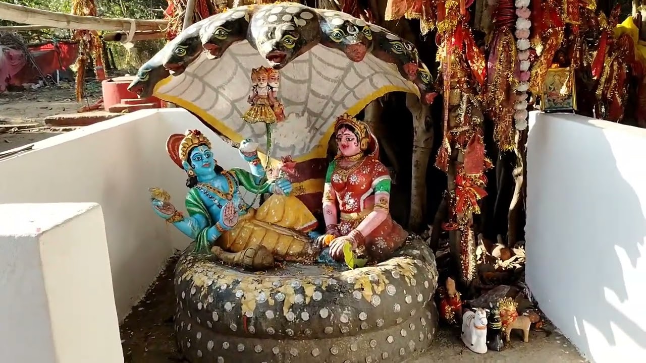 First time ଗଲି କଟକର ମା ଭୁଆସୁଣୀ ପୀଠ 🙏🚩 #travel #vlog #viralvideo #villagelife @Bapuncatalyst 