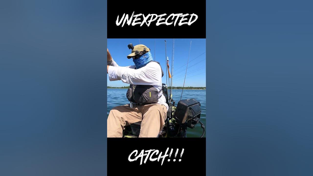 Unexpected Catch!!! shorts fishing kayaks YouTube