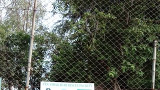 Live In Van Vihar Bhopal Forest Live In Natural Forest