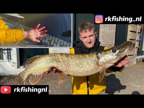 Video: Gesleept Door Een Snoek