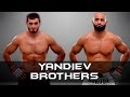 Abukar and Adam Yandiev #MMAHIGHLIGHTS