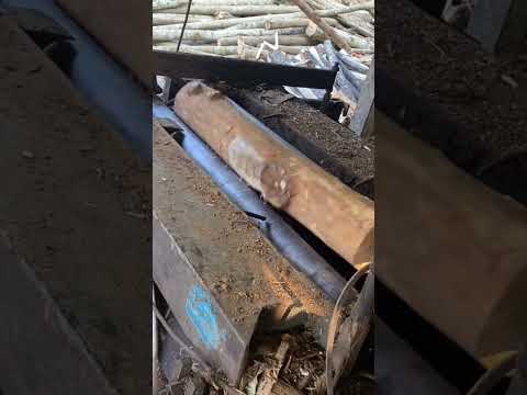 #woodcut #carpentry #cutting #wood #cuttingwood #machine #woodcuting #woodworking #carpentery #diy