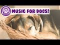 NEW 2018! Relaxing Music for Dogs and Puppies! Help Your Dog Sleep!