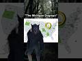 American Cryptid Cases Ep.9: “The Michigan Dogman” 🐺 #cryptid #cryptids #dogman