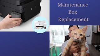 When To Replace Your Maintenance Box - Epson EcoTank Models