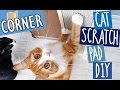 Haku gets a new scratch board | Cat Scratch Pad DIY