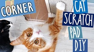 Haku gets a new scratch board | Cat Scratch Pad DIY