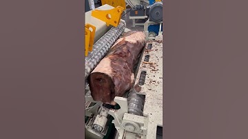 ALVA log debarking machine