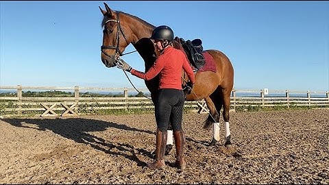 Teaching leg yield in hand - young horse dressage training