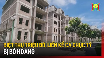 Biệt thự triệu đô, liền kề cả chục tỷ bỏ hoang | Tin tức