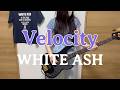 Velocity / WHITE ASH ベース弾いてみた