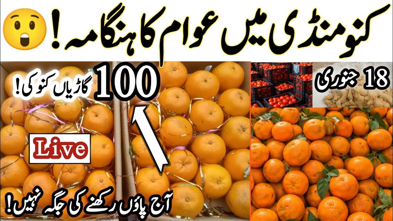 "Kinnow Price Crashes in Market | 100 Trucks Arrived | Red Blood Malta Rate Today"