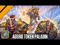 Everyone has infinite everything in hs  aggro token paladin