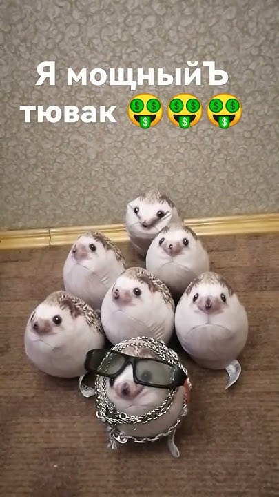 хренобус мощный 🦔😎🦔 - YouTube