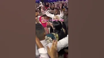 اغنية بلد العجايب تامر صحافه 